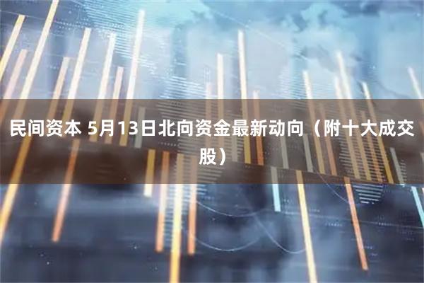 民间资本 5月13日北向资金最新动向（附十大成交股）
