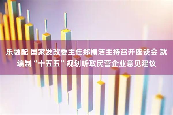 乐融配 国家发改委主任郑栅洁主持召开座谈会 就编制“十五五”规划听取民营企业意见建议