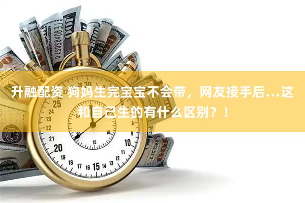 升融配资 狗妈生完宝宝不会带，网友接手后…这和自己生的有什么区别？！