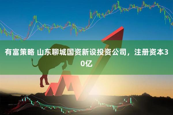 有富策略 山东聊城国资新设投资公司，注册资本30亿
