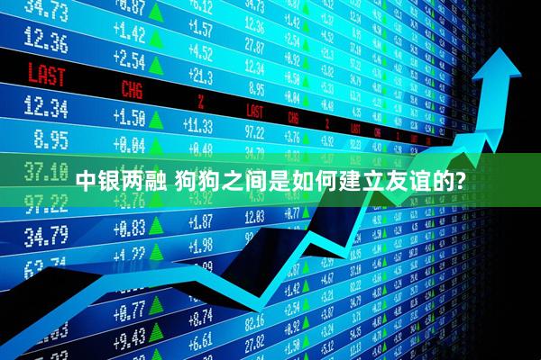 中银两融 狗狗之间是如何建立友谊的?