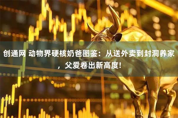 创通网 动物界硬核奶爸图鉴：从送外卖到封洞养家，父爱卷出新高度!