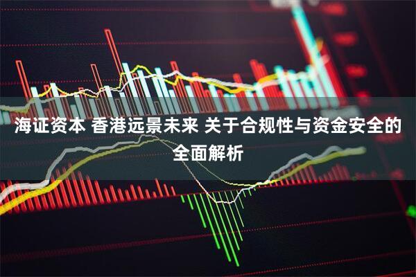 海证资本 香港远景未来 关于合规性与资金安全的全面解析